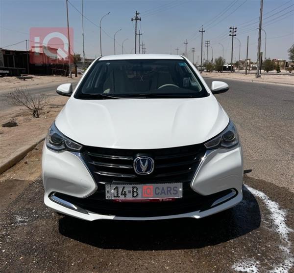 شانجان السفن 2024 للبيع في العراق - خور الزبير